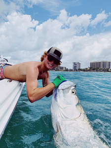 Explore Tarpon In Sarasota's Seas!